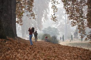 Tourists are seen playing with falling maple leaves at a Mughal garden during the autumn season in Kashmire on Nov. 12, 2020.