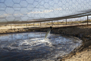 Fracking fluid and other drilling wastes are dumped into an unlined pit located right up against the Petroleum Highway in Kern County, California. Credit: Sarah Craig/Faces of Fracking