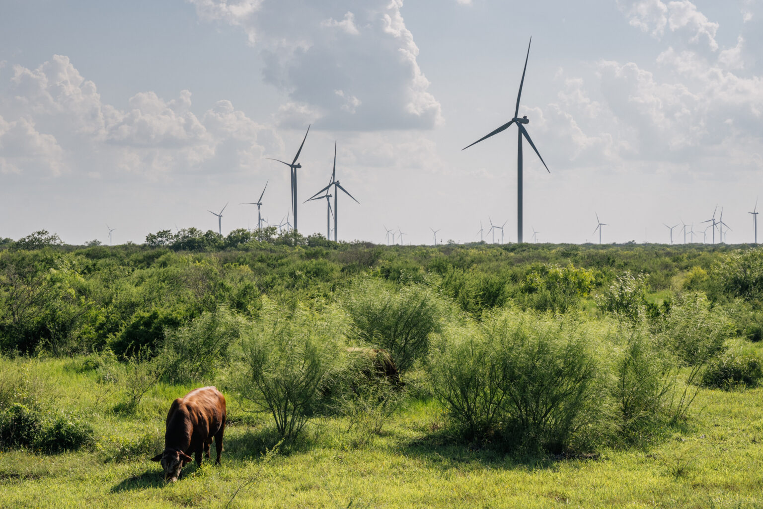 Inside Clean Energy Texas Is the Country’s Clean Energy Leader, Almost