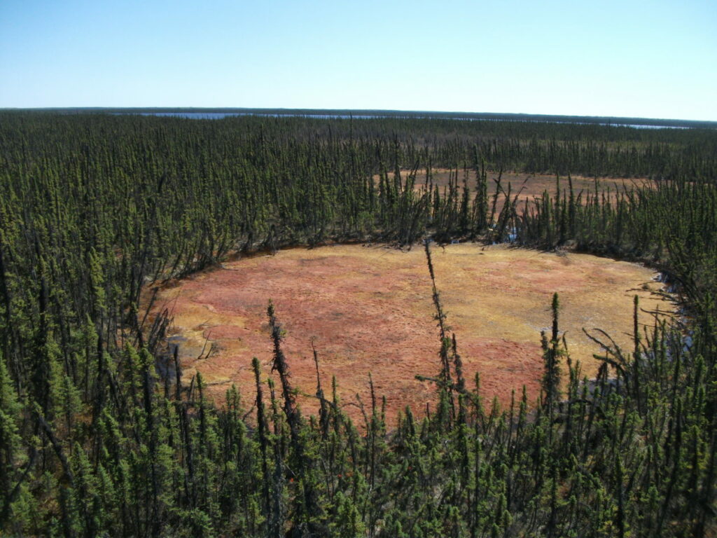 Patches of melted permafrost near the Scotty Creek Research Station in Canada’s Northwest Territories. Credit: Bill Quinton 