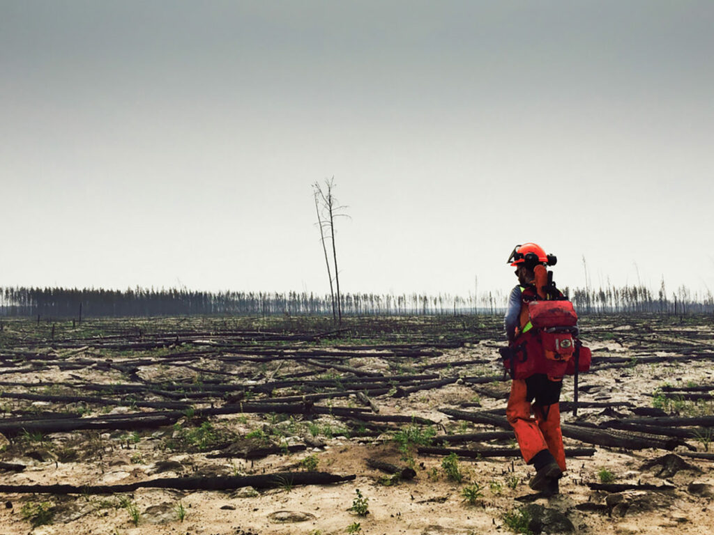 Dan Thompson, a Canadian Forest Service research scientist, surveys fire damage in Wood Buffalo National Park. Credit: Ellen Whitman/Canadian Forest Service/Natural Resources Canada