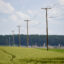 Utility poles next to wheat growing in a field in Pennsylvania on June 7, 2021. Credit: Ben Hasty/MediaNews Group/Reading Eagle via Getty Images