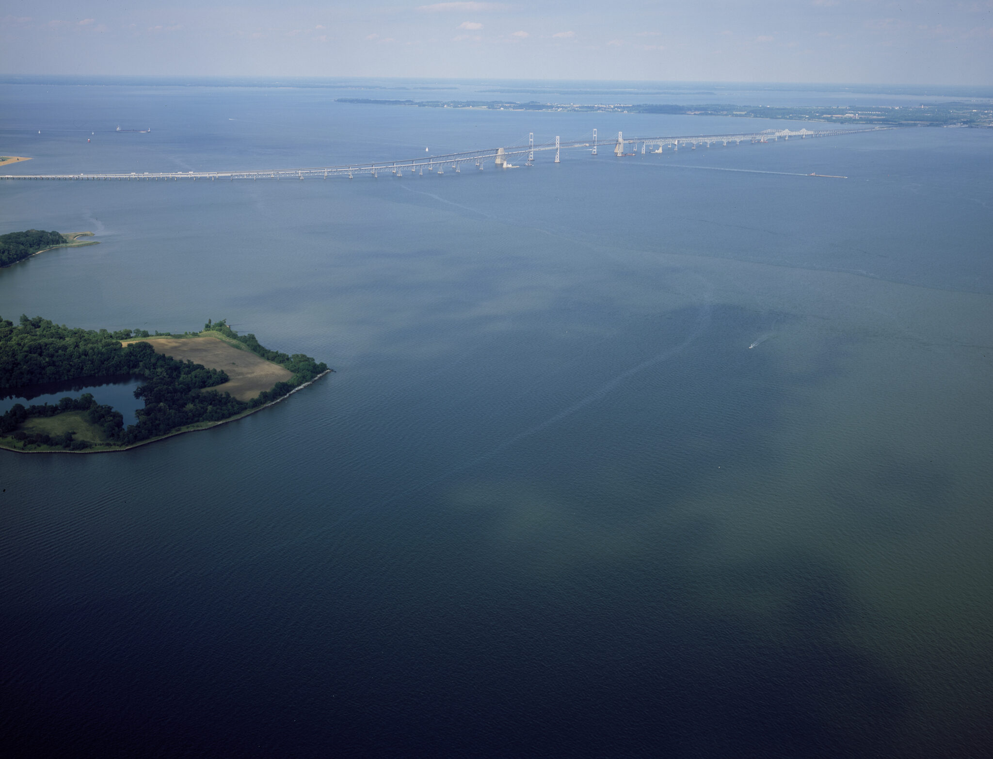 With Increased Nutrient Pollution in the Chesapeake Bay