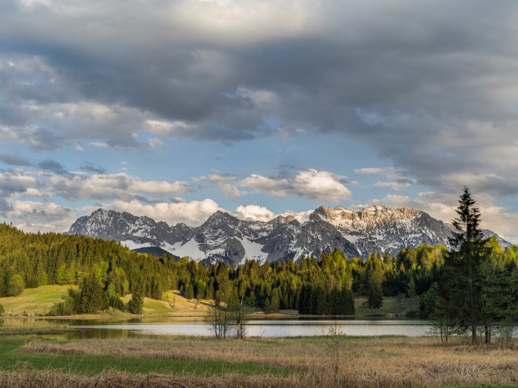 Proposed EU Nature Restoration Law Could be the First Big Step Toward ...