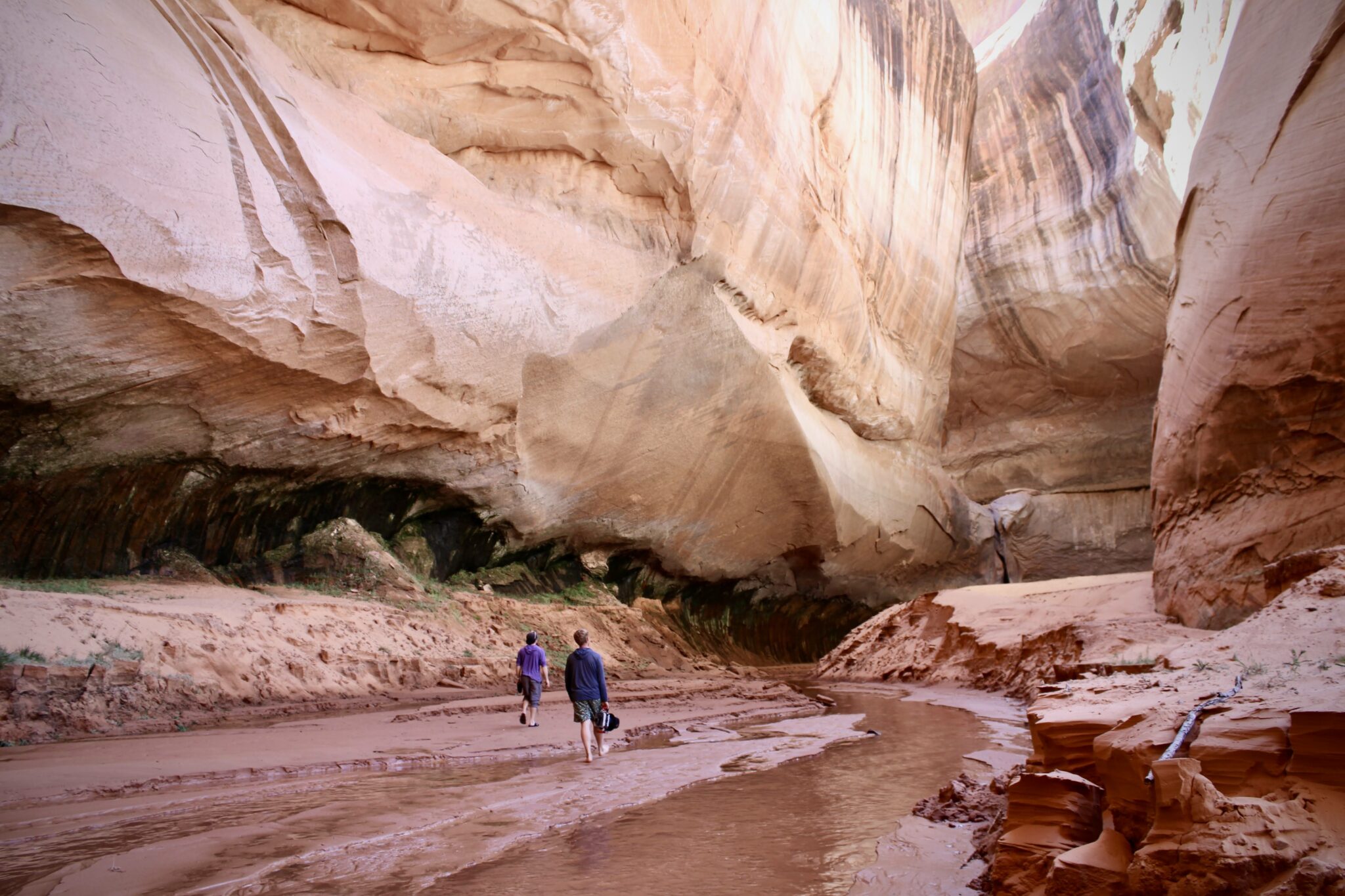 At Lake Powell, Record Low Water Levels Reveal an 'Amazing Silver