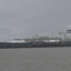 The Höegh Esperanza docked in the port of Wilhelmshaven, Germany. Credit: Christina van Waasbergen/MNS