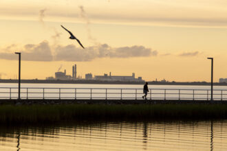 Max Midstream’s Seahawk oil terminal stands across Lavaca Bay from a jetty at Lighthouse Beach in Port Lavaca on June 7, 2023. Credit: Dylan Baddour/Inside Climate News