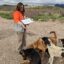 Kristen Pogreba-Brown collects data on ticks on the San Carlos Reservation in Arizona. Exposures to these ticks can come from household pets and cause bacterial diseases like Rocky Mountain Spotted Fever. Credit: Photo Courtesy of Kristen Pogreba-Brown.