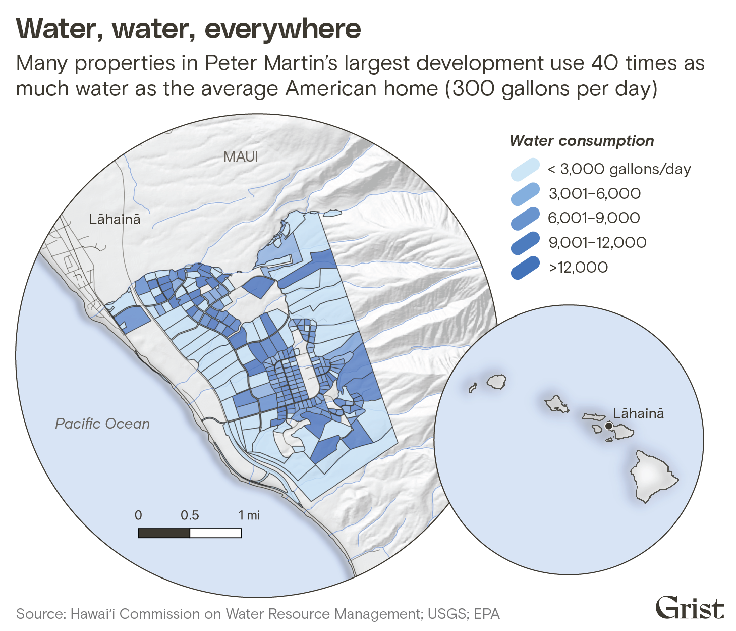 updated maui water conservation rules take effect... The Libertarian Developer Looming Over West Maui’s Water Conflict ...