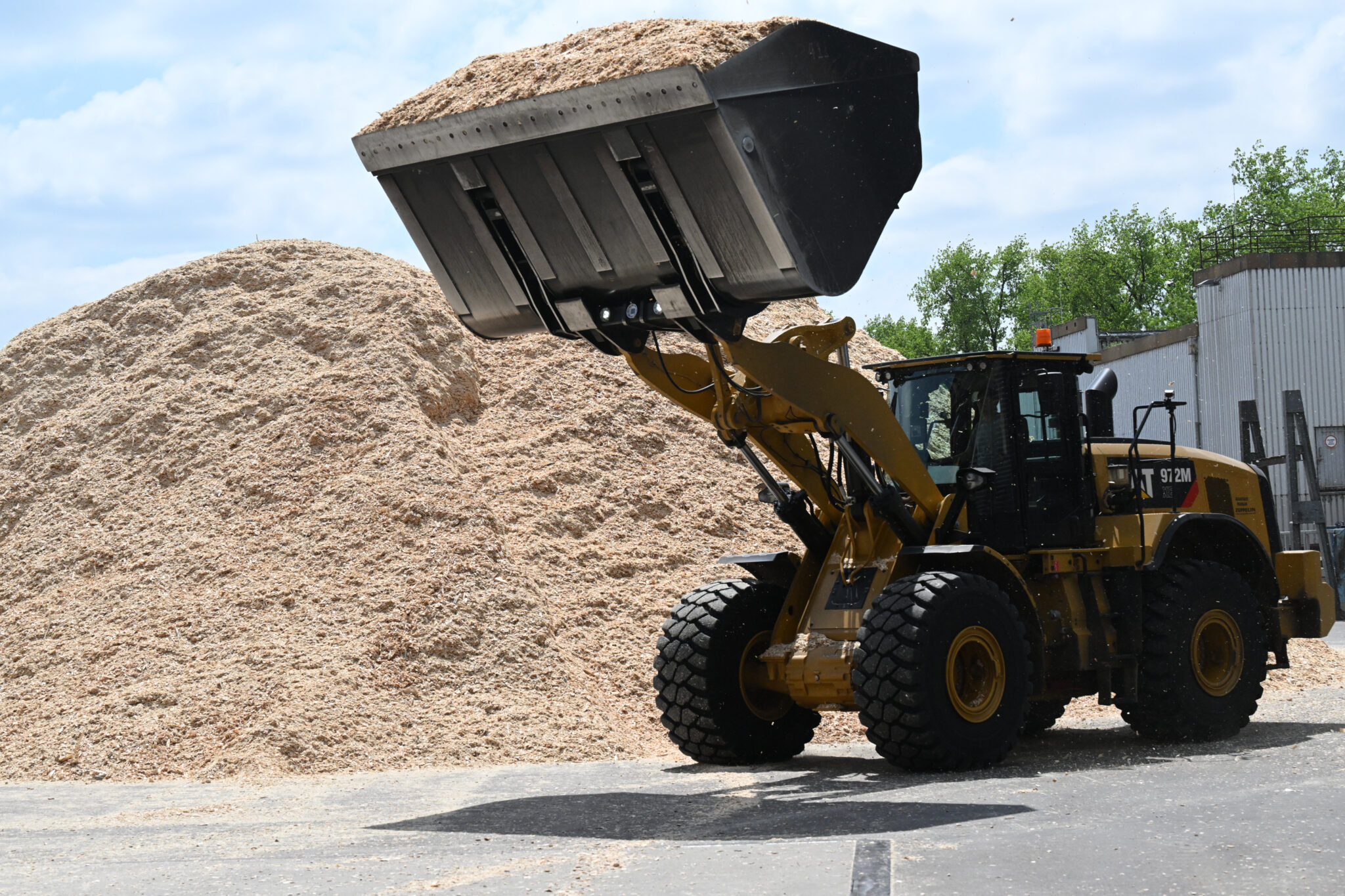 Wood chips are stored for pellet production at a sawmill. Credit: Angelika Warmuth/picture alliance via Getty Images