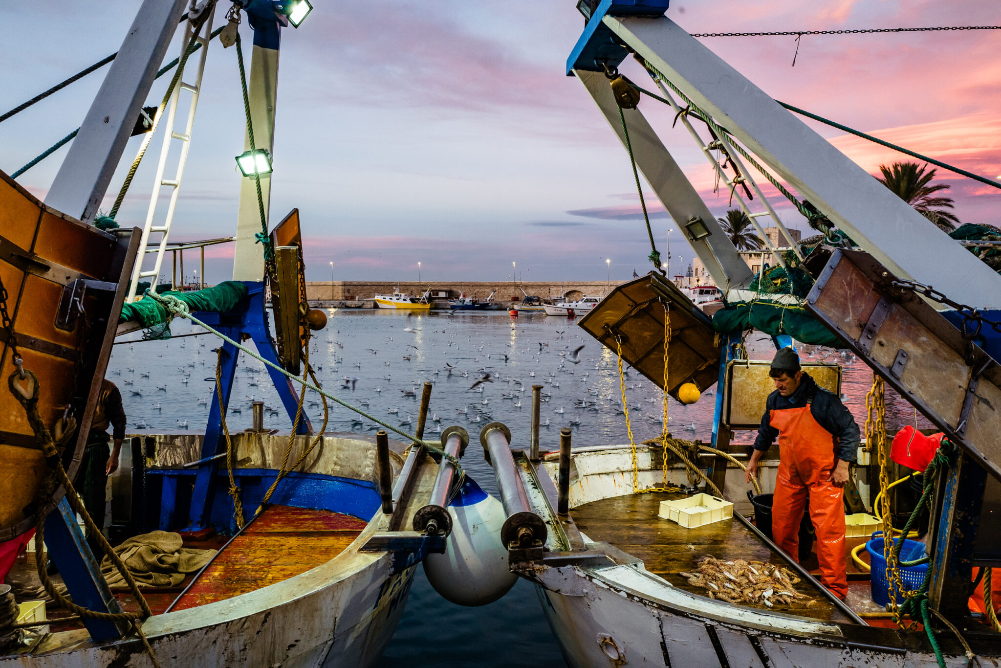 Top Ocean Experts Sound the Alarm Over Growing Marine Crisis Due To(01)