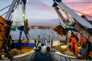 Fishermen sort their catch from a trawl fishery on a fishing boat in the Port of Molfetta on Dec. 1, 2023. Credit: Davide Pischettola/NurPhoto via Getty Images