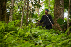 A member of the Indigenous Baduy tribe works at his field on Indonesia's Java island. Anthropologist Gonzalo Oviedo says Indigenous communities in Southeast Asia “tend to recognize many more varieties of plant subspecies.” Credit: Bay Ismoyo/AFP via Getty Images
