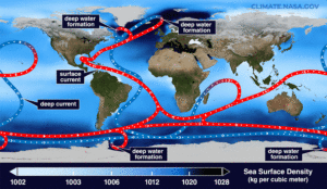 The Atlantic Meridional Overturning Circulation carries cold water from near Greenland (blue line) southward along the seafloor toward Antarctica, while currents nearer the surface transport warmer water northward. Credit: NASA/Goddard Space Flight Center Scientific Visualization Studio