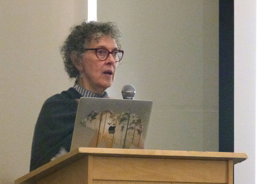Barbara Sattler, a visionary environmental and climate public health leader, talks about how to help build community resilience to a warming world. Credit: Liza Gross