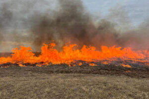 A fast-moving wildfire burned more than 1,000 acres this month near Wendell, Minnesota, about 150 miles northwest of the Twin Cities. Much of the Midwest has been under red flag warnings this spring following a record hot and dry winter that officials say has dramatically increased the threat of wildfires in the region. Credit: Courtesy of Fergus Falls Fire Department