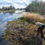 Michael Lusk, a refuge manager for the Okefenokee National Wildlife Refuge, surveys the edge of the federally protected swampland in Folkston, Ga., where a major new mining operation is preparing to break ground, raising concerns among longtime residents and environmentalists. Credit: Hyosub Shin/The Atlanta Journal-Constitution