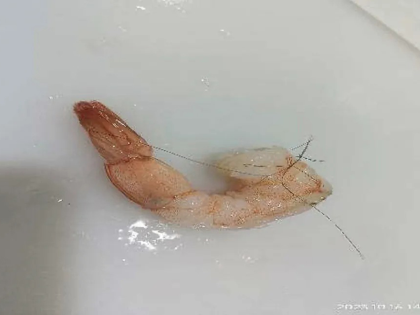 “Hair piece was observed in cooked material in IQF section.”