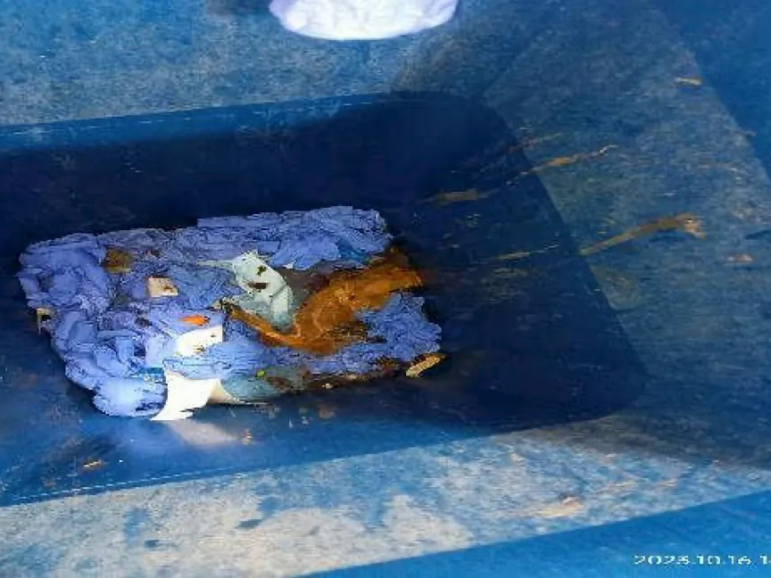 “Pan masala spitoons were observed near by raw material receiving area. Change room Waste bin.”