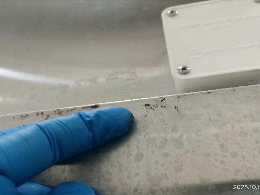 “IQF doors needs cleaning, dust and fungus was found.”