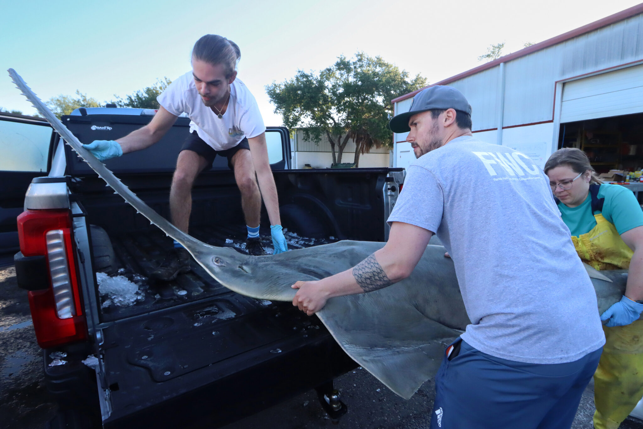 Florida in 50 Years: Study Says Land Conservation Can Buffer ...