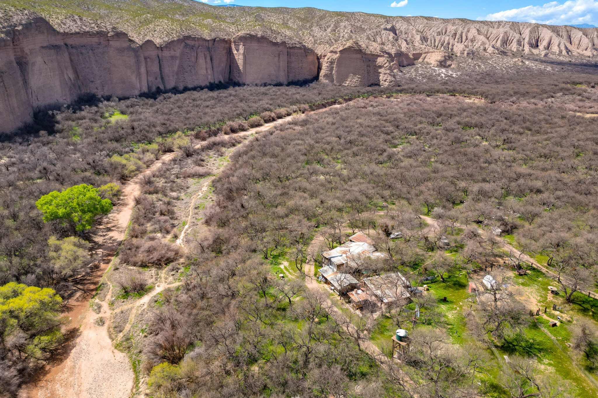 An aerial view of the San Pedro River Valley on March 19. Credit: Michael McKisson/Arizona Luminaria