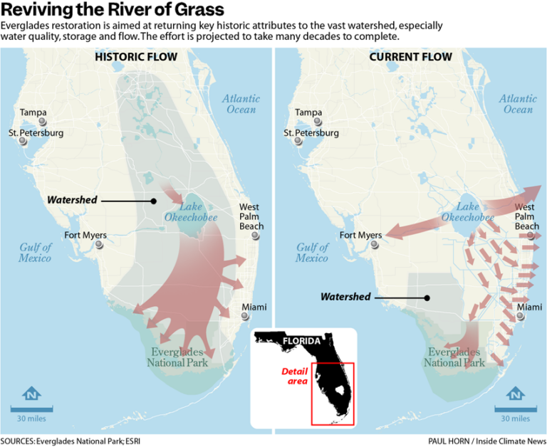 Indigenous Tribes Should Be More Involved in Everglades Restoration ...