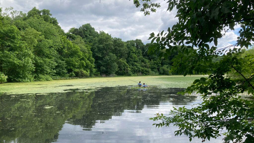 Mayor Eric Adams’ Unfulfilled Promise for New York City Parks