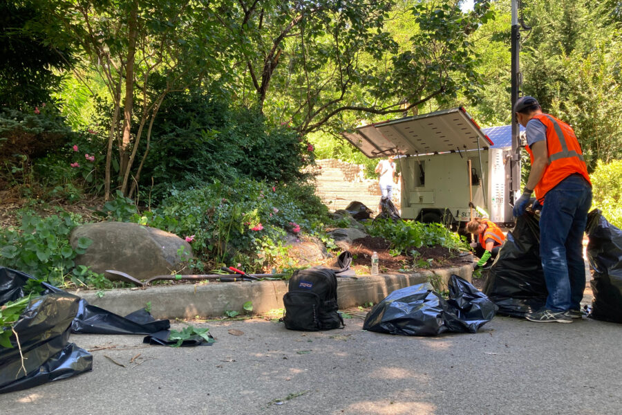 New York’s Chronically Underfunded Parks Department Is Losing the Fight ...