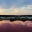 An open-pit lagoon is filled with waste from a hog farm in Duplin County, North Carolina. Credit: Courtesy of The Smell of Money