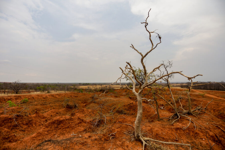 In Brazil’s SemiArid Region, Small Farmers Work Exhausted Lands