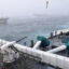 On Feb. 24, 2018, the Argentine Coast Guard discovered the Jing Yuan 626 fishing illegally within Argentina’s EEZ. Here, an Argentine Coast Guard member watches as Jing Yuan 626 and several other foreign fishing vessels crowd around during a pursuit. Credit: Javier Giannattasio