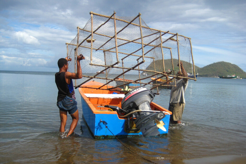 The Seagrass Species That Is Not So Slowly Taking Over the World ...