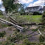 Trees and electrical wiring brought down by a tornado in Montgomery County, Pennsylvania, in September 2021. Credit: James Paulus