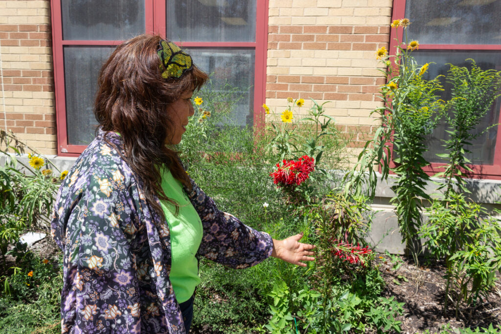 Claudia Galeno-Sanchez visits flowers and shrubs she previously helped plant in Orozco Community Academy's front yard on Aug. 7. Credit: Aydali Campa/Borderless Magazine