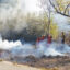 CalFire manages a prescribed controlled burn in Northern California on Nov. 14, 2023. Wildfire prevention, among other climate solutions, is on the state's ballot as Proposition 4. Credit: Penny Collins/NurPhoto via Getty Images