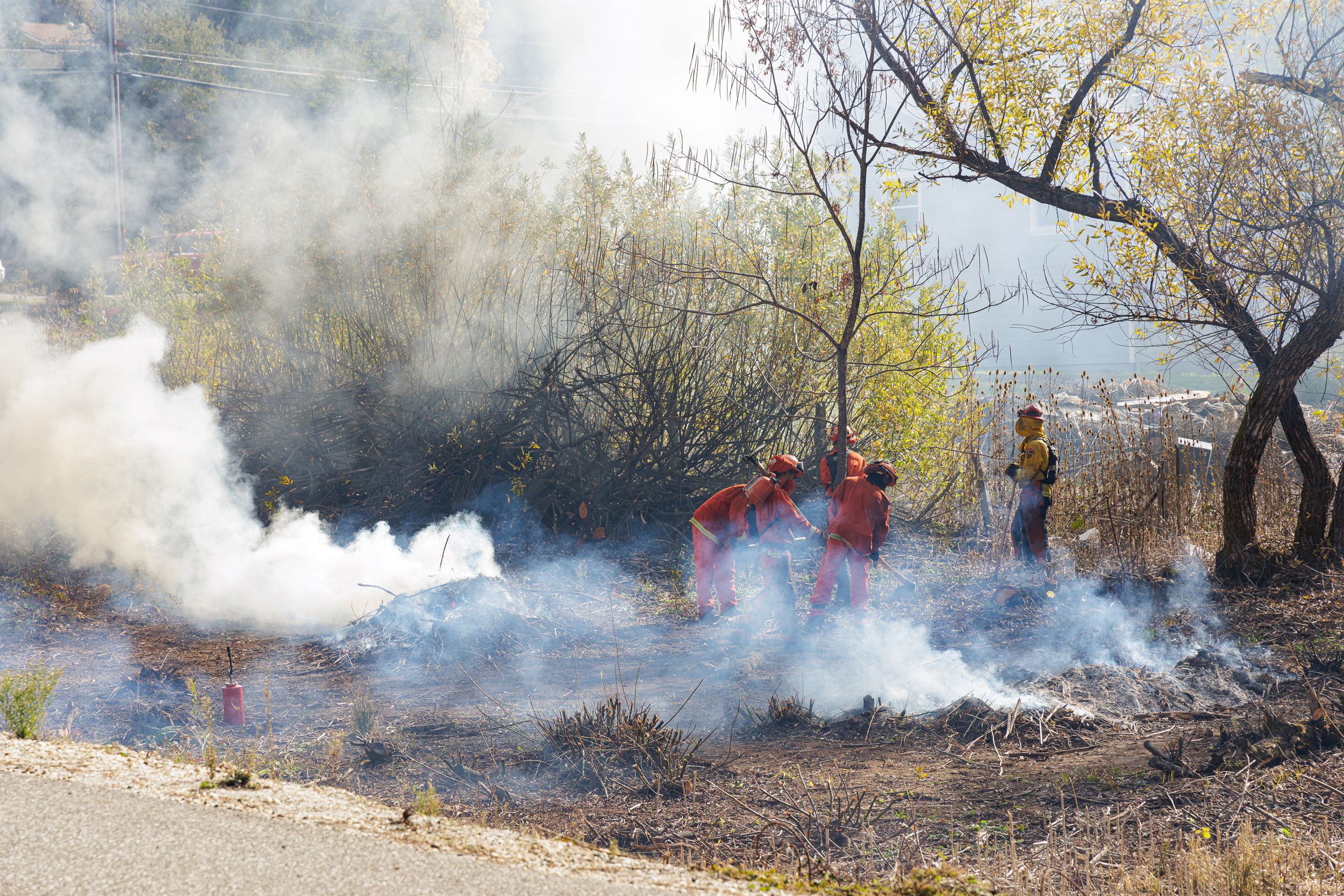 CalFire manages a prescribed controlled burn in Northern California on Nov. 14, 2023. Wildfire prevention, among other climate solutions, is on the state's ballot as Proposition 4. Credit: Penny Collins/NurPhoto via Getty Images