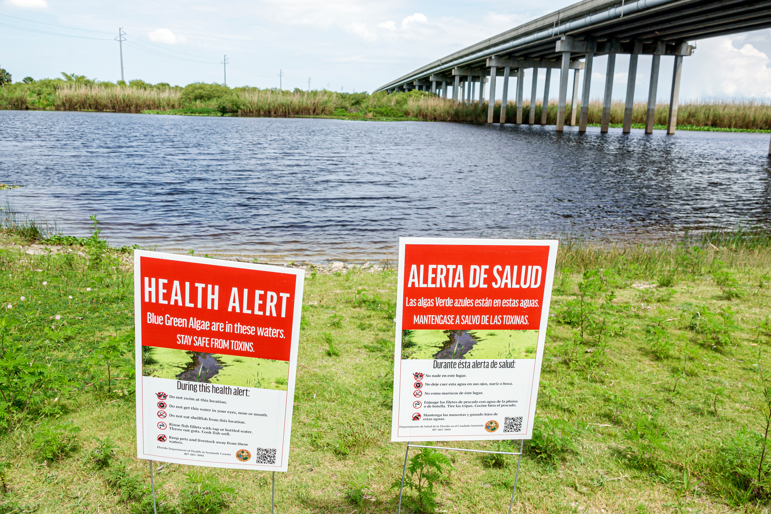 Health alert signs warn of a toxic blue-green algae bloom on Lake Jesup in Sanford, Florida. Credit: Jeffrey Greenberg/Universal Images Group via Getty Images
