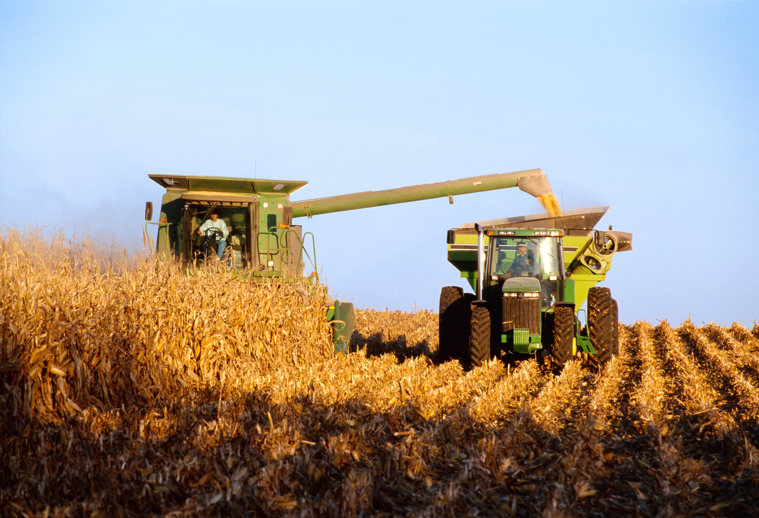 A combine harvests corn into a grain wagon on a farm in Iowa. Credit: Curt Maas/Universal Images Group via Getty Images