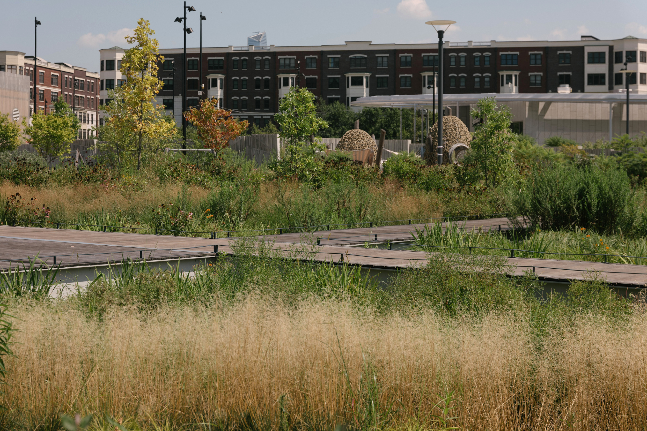 A walkway runs through the rain garden at ResilienCity Park. Credit: Caroline Gutman/Inside Climate News