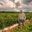 Michael Katrutsa walks through rows of tomatoes on his 20-acre produce farm in Camden, Tennessee. His crops also include sweet corn, watermelon, cantaloupe, peppers, cucumbers, okra and more. Credit: John Partipilo/Tennessee Lookout