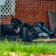 Garbage collected in bags piles up outside of a home in Chickasaw, Ala. Credit: Lee Hedgepeth/Inside Climate News
