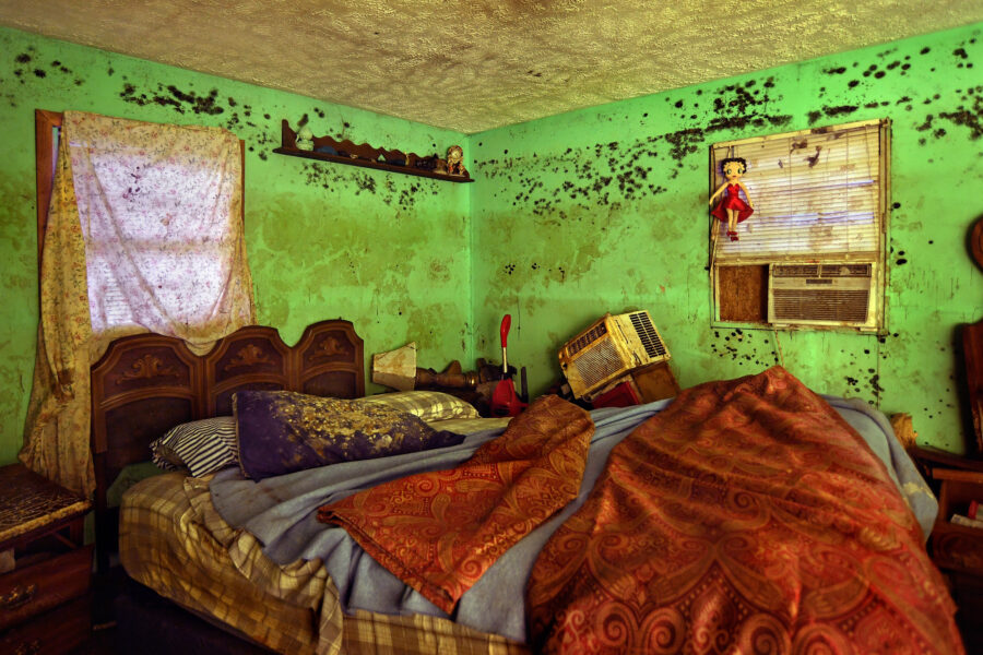 Hurricane Florence Inside Climate News