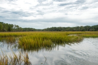 A view of the salt water marsh in Cainhoy, S.C. Credit: Stephanie Gross/SELC