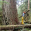Stephen Kropp, the founder of the nonprofit Legacy Forest Defense Coalition of Washington, has ramped up his mission of raising awareness about logging so-called “legacy forests” on Washington trust lands. Credit: Legacy Forest Defense Coalition
