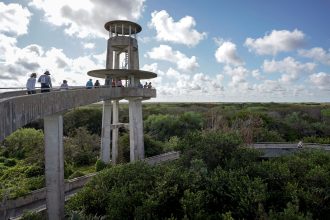 Visitors take in a view of the landscape from the Shark Valley Observation Tower in Everglades National Park near Miami on Feb. 3, 2023. Credit: Bonnie Jo Mount/The Washington Post via Getty Images