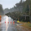 A pine tree lays on power lines after it was knocked over due to Post-Tropical Cyclone Lee on Sept. 16, 2023 in Eastport, Maine. Credit: Joe Raedle/Getty Images