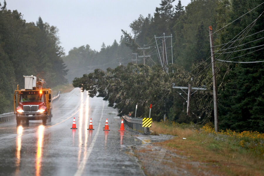 A pine tree lays on power lines after it was knocked over due to Post-Tropical Cyclone Lee on Sept. 16, 2023 in Eastport, Maine. Credit: Joe Raedle/Getty Images