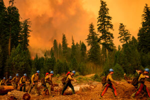 A Plumas Hotshots fire crew work to fight the Park Fire near Tehama County's Mill Creek area in California on Aug. 7. The fire burned some 429,603 acres according to Cal Fire. Credit: Josh Edelson/AFP via Getty Images