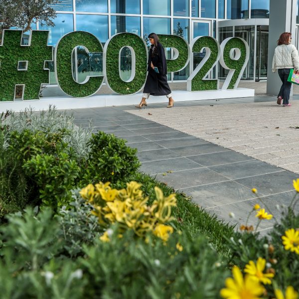 US Election Darkens the Door of COP29 as It Opens in Azerbaijan ...
